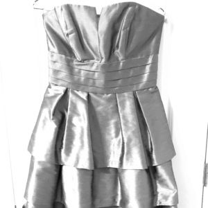 Alfred Sung Silver Dress